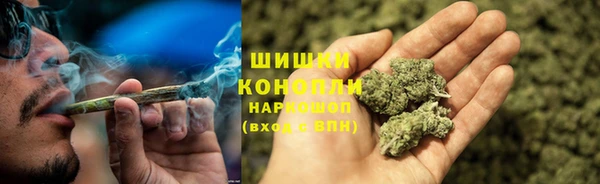 jwh Новозыбков