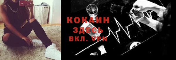 шишки Новокубанск