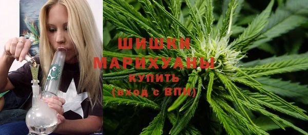 шишки Новокубанск